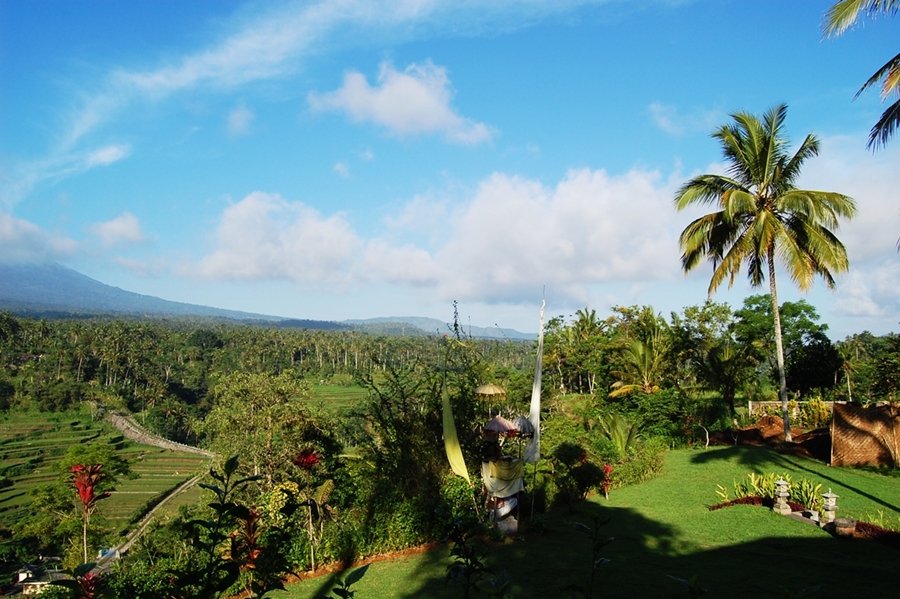 Exclusive Bali