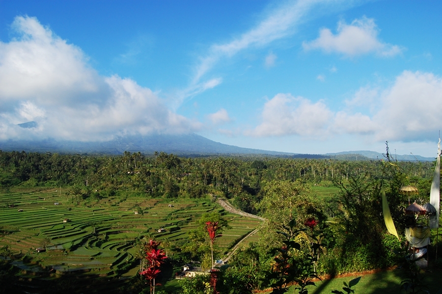 Exclusive Bali
